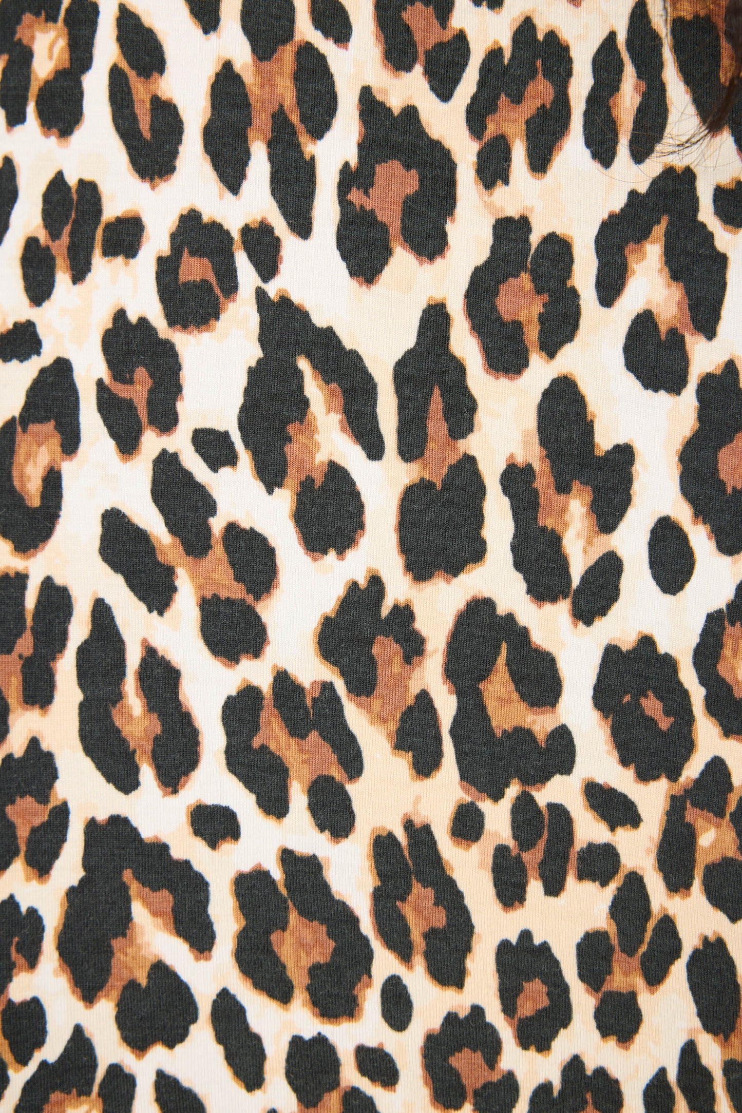 Holiday Dreams Leopard Print Pants Set